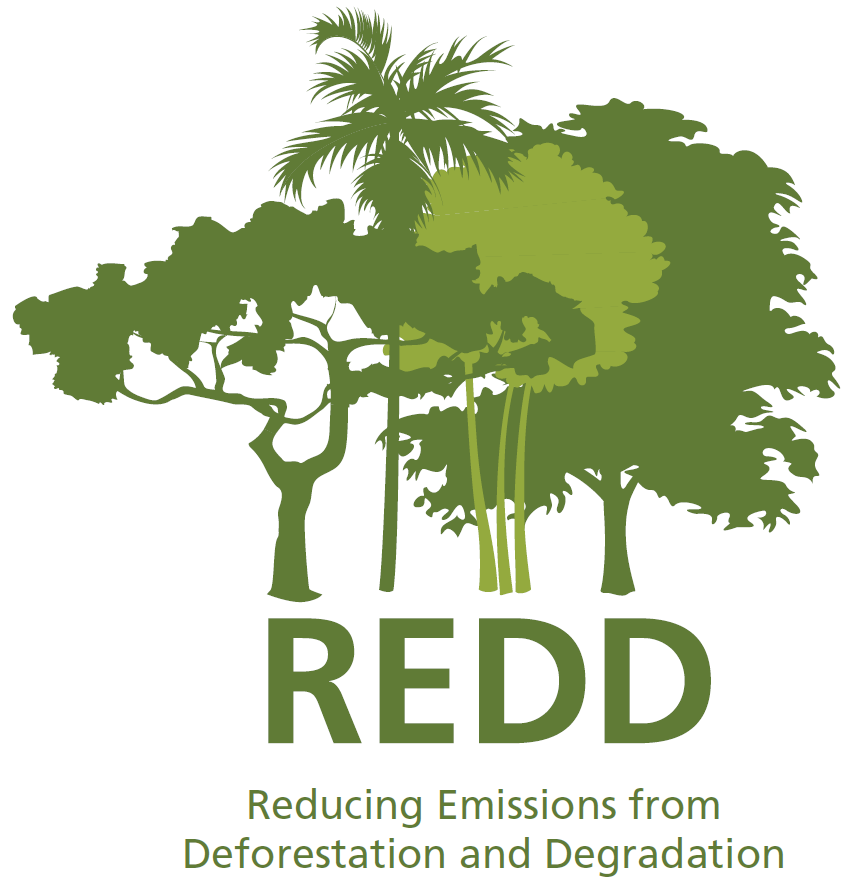 REDD-Logo.png